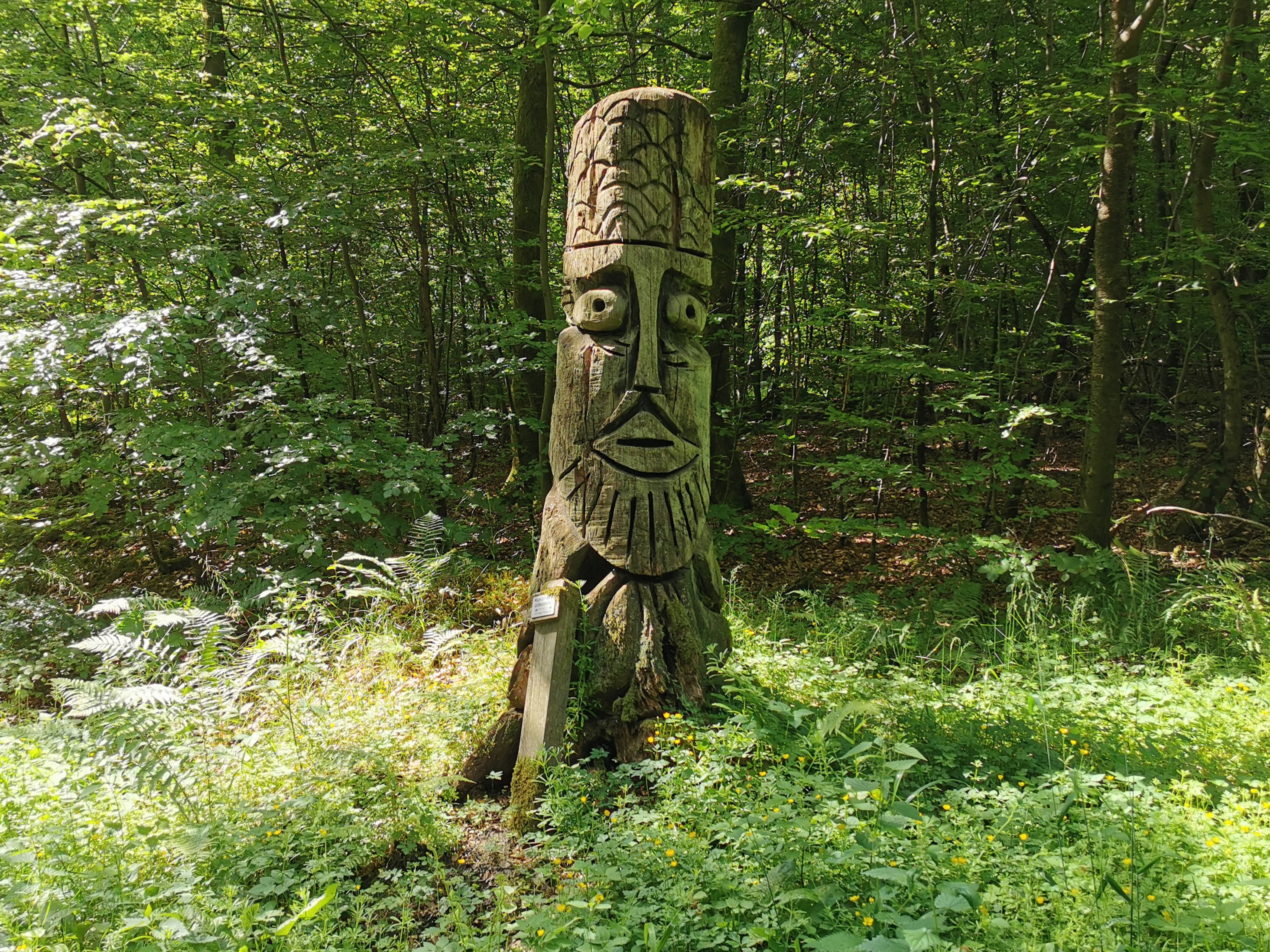 Bild der Frage